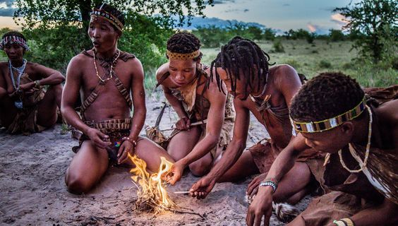  &copy; Natural Selection 